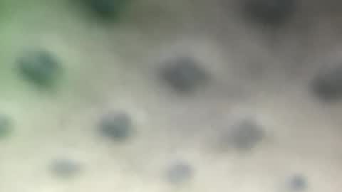 luquita094 online show from November 7, 2025, 11:54 am