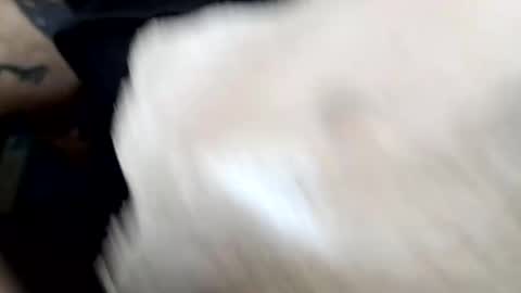 Snapshot of lust_khali chatting on February 1, 2026, 12:37 pm lust_khali online show from February 1, 2026, 12:37 pm