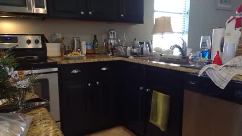 Snapshot of lusterandsp1ce chatting on December 6, 2024, 6:06 pm lustersp1ce online show from December 6, 2024, 6:06 pm