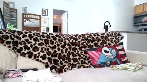 LustfulGlance online show from February 9, 2026, 7:07 pm