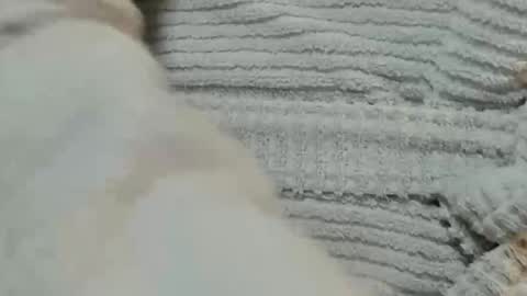 Snapshot of lustgardener67 chatting on December 9, 2024, 6:03 pm lustgardener67 online show from December 9, 2024, 6:03 pm