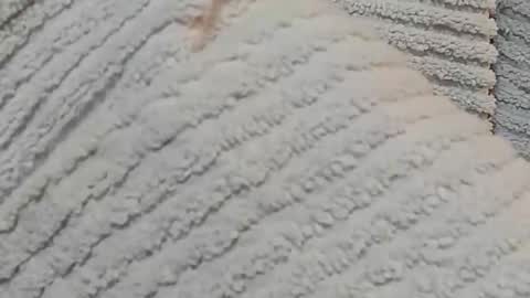 Snapshot of lustgardener67 chatting on December 15, 2024, 7:24 am lustgardener67 online show from December 15, 2024, 7:24 am