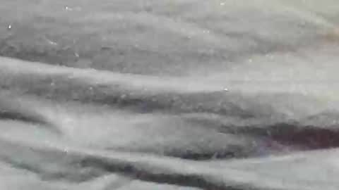 Snapshot of lustgardener67 chatting on January 9, 2025, 11:24 pm lustgardener67 online show from January 9, 2025, 11:24 pm