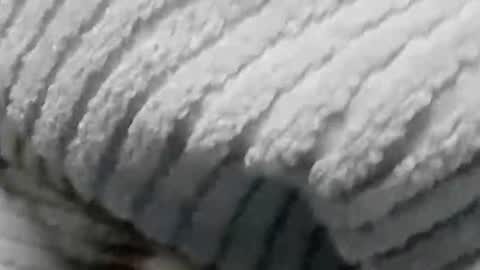 Snapshot of lustgardener67 chatting on January 19, 2025, 7:15 am lustgardener67 online show from January 19, 2025, 7:15 am