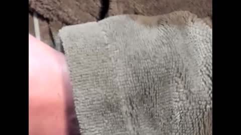 Snapshot of lustgardener67 chatting on March 4, 2025, 7:19 am lustgardener67 online show from March 4, 2025, 7:19 am