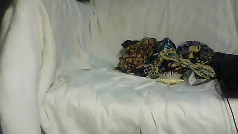 Bee Bee online show from June 16, 2026, 5:54 am