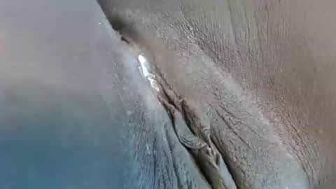 lyiajee online show from September 23, 2025, 2:53 pm