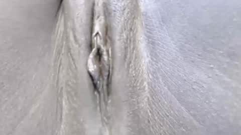 lyiajee online show from October 14, 2025, 7:09 am