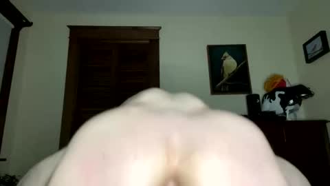 lyle blue online show from February 7, 2026, 9:35 am