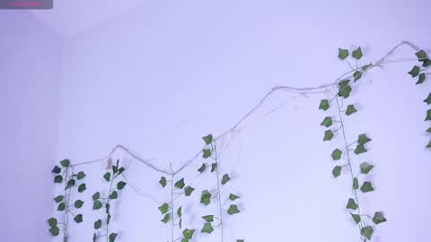 Lyly   online show from January 12, 2026, 5:34 am