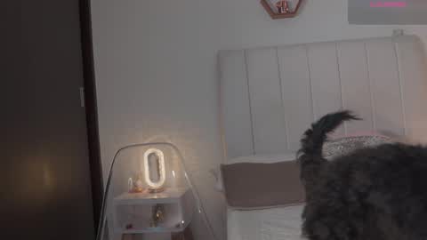 Snapshot of madison__evans chatting on February 14, 2026, 6:21 am Valentina 1030 530 - online show from February 14, 2026, 6:21 am