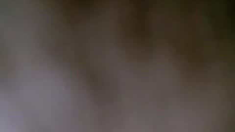 maestronex online show from December 25, 2024, 4:22 pm