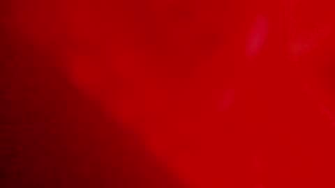 maia online show from January 28, 2025, 9:41 am