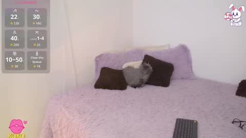 Snapshot of maiaa_evans chatting on March 27, 2026, 2:17 am t online show from March 27, 2026, 2:17 am