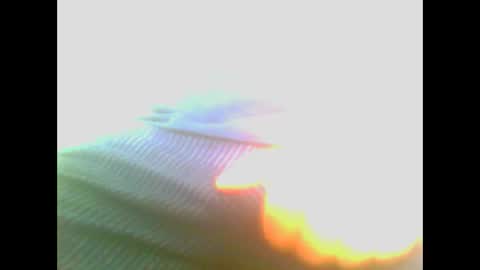 Snapshot of maioris6 chatting on February 22, 2025, 8:07 am maioris6 online show from February 22, 2025, 8:07 am