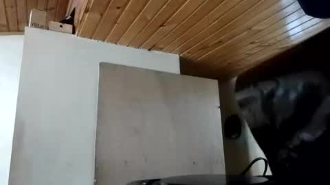 MAITE STONE1 online show from October 31, 2025, 11:55 am