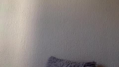 majo_gomezz online show from March 20, 2026, 7:41 pm