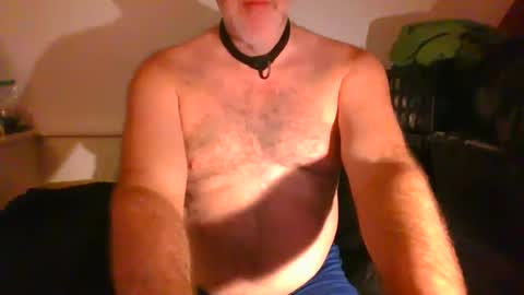 Snapshot of malebdsmslut chatting on September 9, 2025, 7:08 am CommandbondageNipples bondage kink submissive lovense slave wgear. modequiethvyBondage If Password goldfish online show from September 9, 2025, 7:08 am