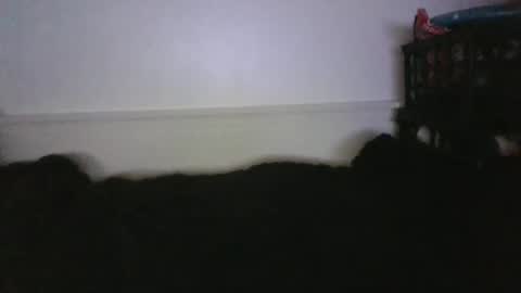 Snapshot of malebdsmslut chatting on February 26, 2026, 4:00 am CommandbondageNipples bondage kink submissive lovense slave wgear. modequiethvyBondage If Password goldfish online show from February 26, 2026, 4:00 am