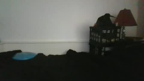 CommandbondageNipples bondage kink submissive lovense slave wgear. modequiethvyBondage If Password goldfish online show from May 31, 2026, 12:23 pm
