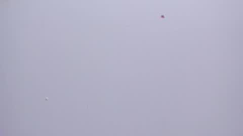 malory__jones online show from January 16, 2026, 6:34 pm