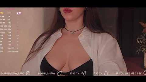 Snapshot of mamiemeow chatting on February 3, 2025, 4:31 pm Your Miss Alice online show from February 3, 2025, 4:31 pm