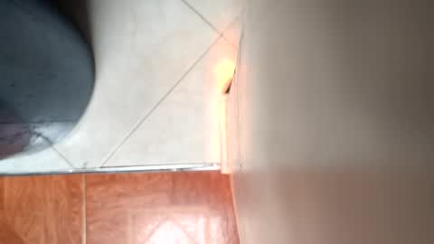 Snapshot of mamm7772024 chatting on April 4, 2026, 7:00 pm Mickey online show from April 4, 2026, 7:00 pm