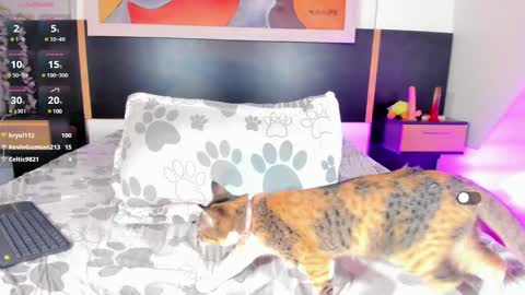 Manelyk Pindters online show from February 9, 2025, 6:33 am