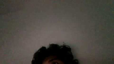 Snapshot of mangopitudo chatting on January 8, 2025, 11:41 pm Manguito online show from January 8, 2025, 11:41 pm