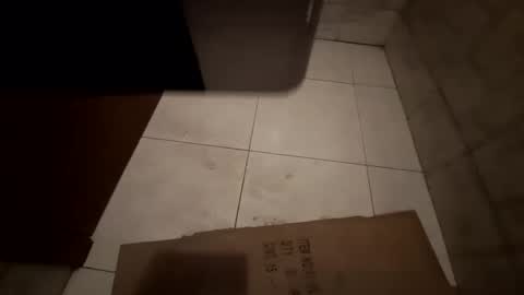 maravilhoso1 online show from November 24, 2025, 10:48 am