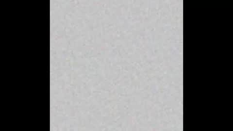 Margot online show from December 30, 2024, 11:15 am