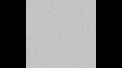 Margot online show from February 1, 2025, 11:32 am