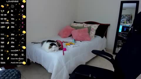   Mariam Castiblanco online show from January 14, 2025, 3:01 am