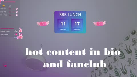 Snapshot of marie_diaze chatting on January 15, 2025, 8:20 am Marie LEAVE YOUR WITH ME online show from January 15, 2025, 8:20 am