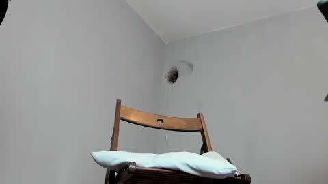 MARK online show from October 16, 2025, 12:06 pm