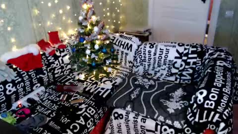 MarleneHudsonAh online show from December 24, 2024, 8:16 pm