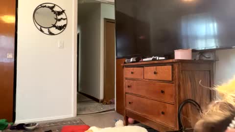 Snapshot of maroon_moon chatting on February 14, 2025, 4:09 pm maroon_moon online show from February 14, 2025, 4:09 pm