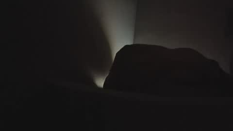 martamoontrans online show from February 3, 2026, 6:40 am