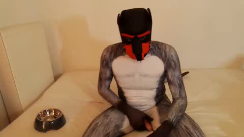 Snapshot of martin_ni chatting on February 14, 2025, 11:53 am martin_ni online show from February 14, 2025, 11:53 am