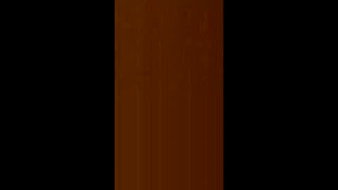 martync782 online show from December 19, 2025, 2:18 am