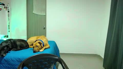 Snapshot of mary_jane1_ chatting on October 31, 2025, 2:12 am mary online show from October 31, 2025, 2:12 am