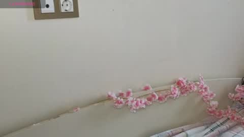 Hi Im Olivia Im new here3 online show from May 10, 2026, 3:12 am