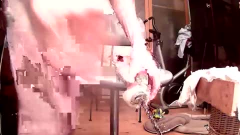 maschpro online show from October 24, 2025, 5:09 pm