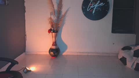 mattias     online show from January 24, 2025, 2:07 am