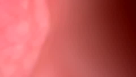 Freekster online show from March 31, 2026, 6:30 pm