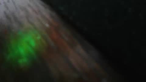 mattw31019 online show from February 24, 2026, 8:29 pm