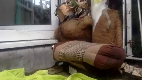 matureman1234 online show from October 29, 2025, 10:06 am