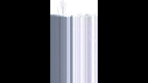 matzs3rvices online show from December 22, 2025, 6:38 pm