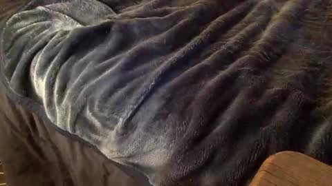 Snapshot of mauriciano2018 chatting on October 9, 2025, 3:59 am Ignacio online show from October 9, 2025, 3:59 am