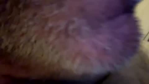 Snapshot of maverick7000 chatting on February 23, 2025, 8:17 am maverick7000 online show from February 23, 2025, 8:17 am